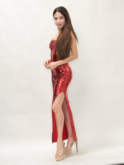 Long Sequin Dress