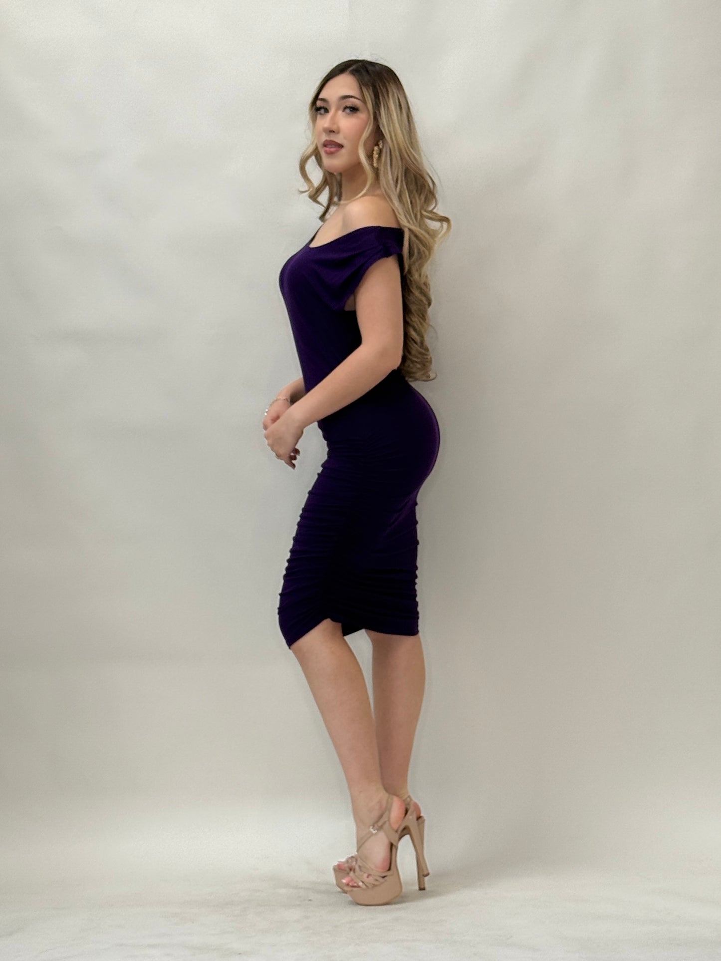 Sexy Crew Neck Dress