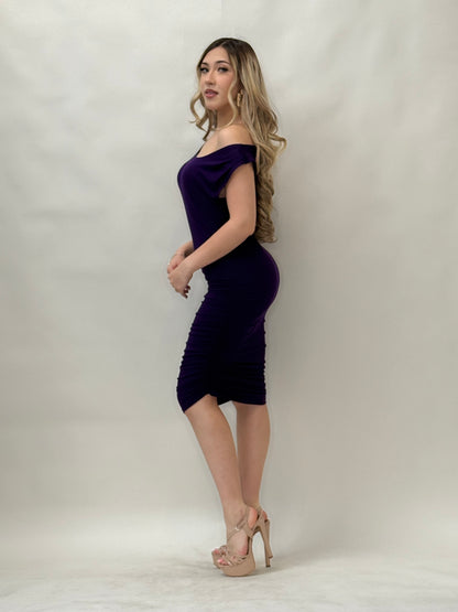 Sexy Crew Neck Dress