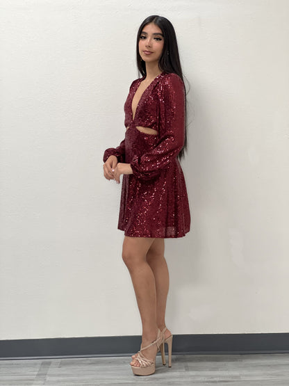 Sequin Mini Dress