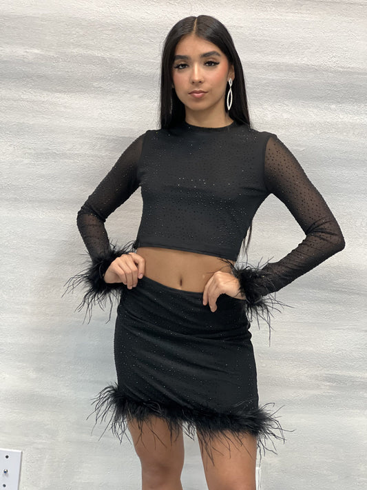 Rhinestone and Feather Mesh Crop Top and Mini Skirt Set