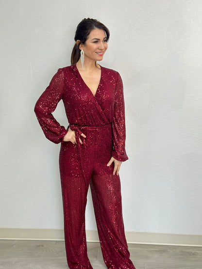 Sequin Mesh Jumpsuits